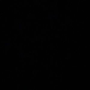 Meet your Posher, Genevieve